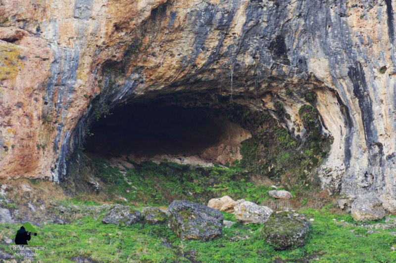Παρνασσός topoguide