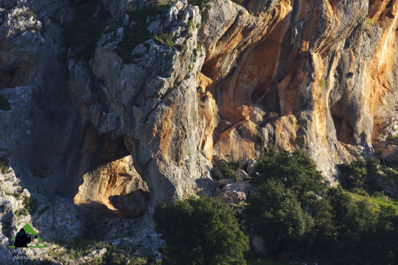 Παρνασσός topoguide