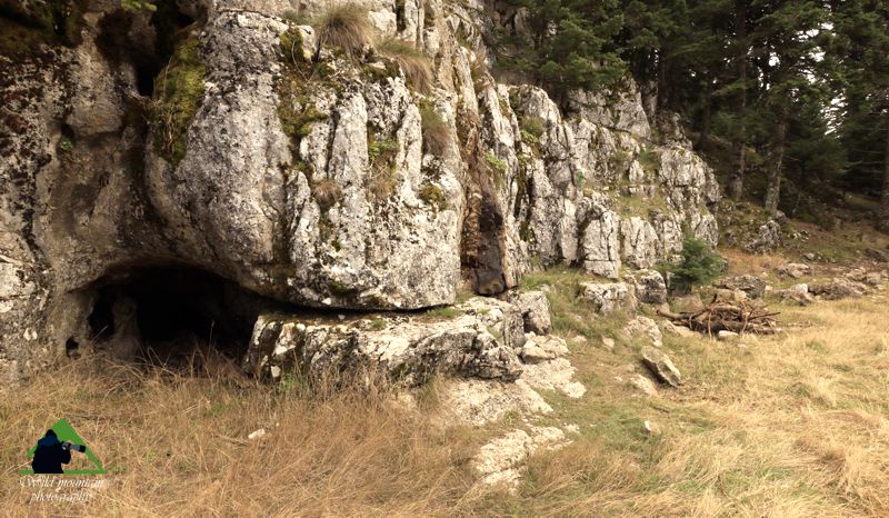Παρνασσός topoguide