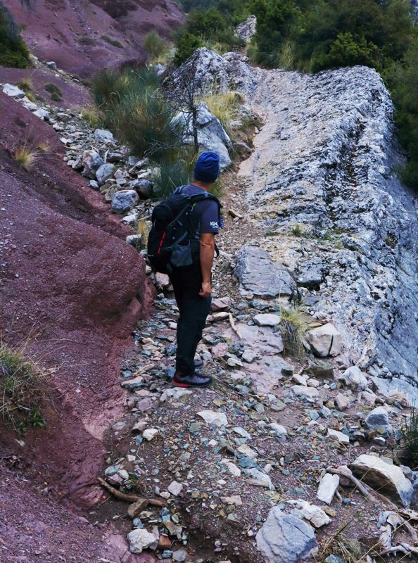 Παρνασσός topoguide