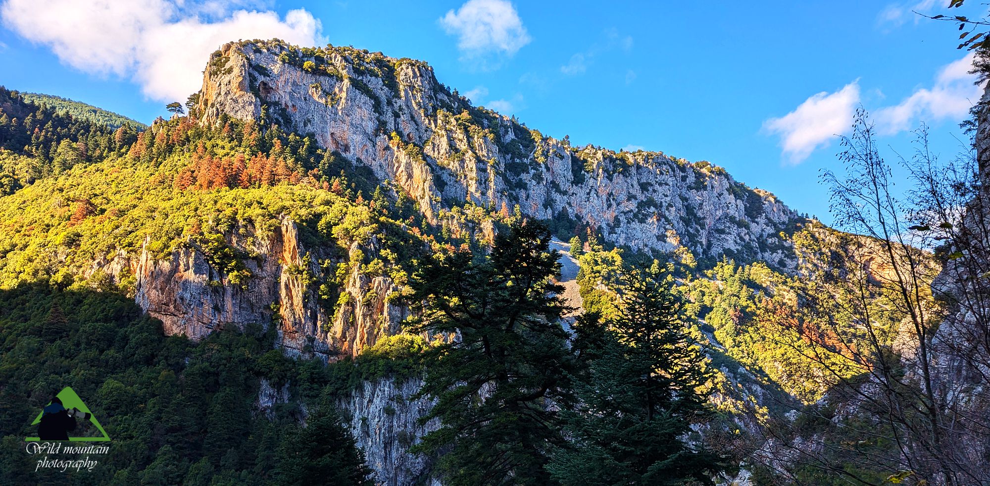 Παρνασσός topoguide