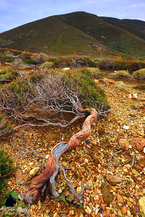 Νότια Εύβοια topoguide