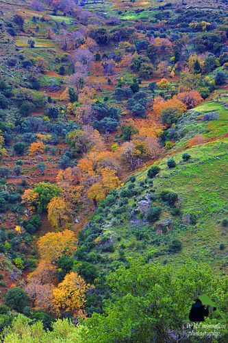 Νότια Εύβοια topoguide