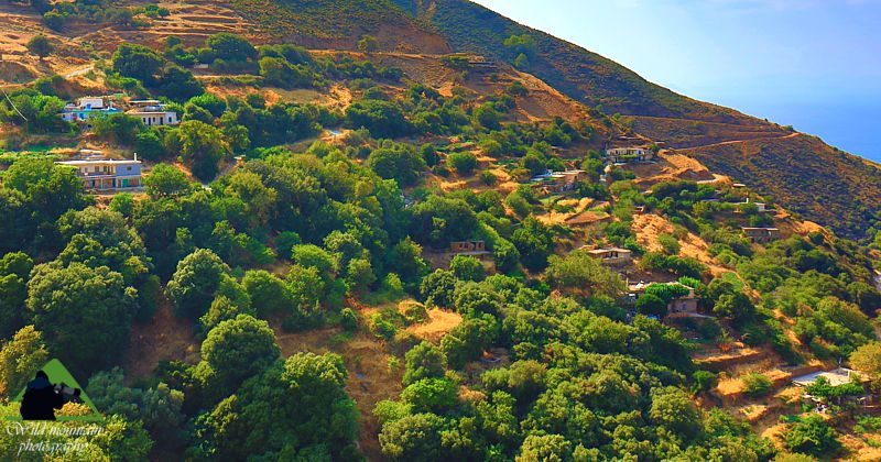 Νότια Εύβοια topoguide