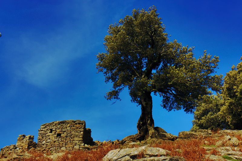 Νότια Εύβοια topoguide