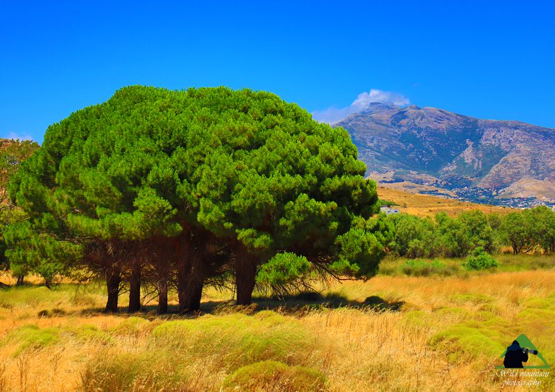 Νότια Εύβοια topoguide