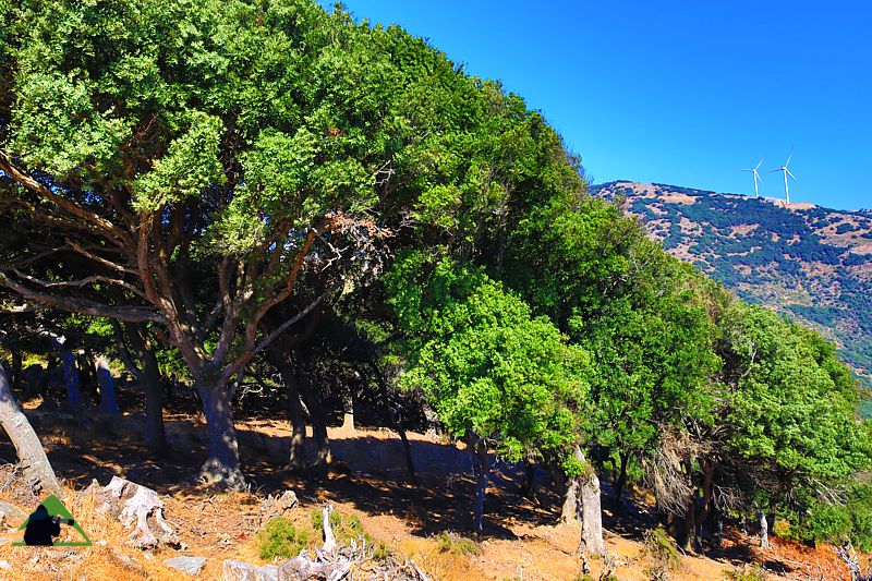 Νότια Εύβοια topoguide