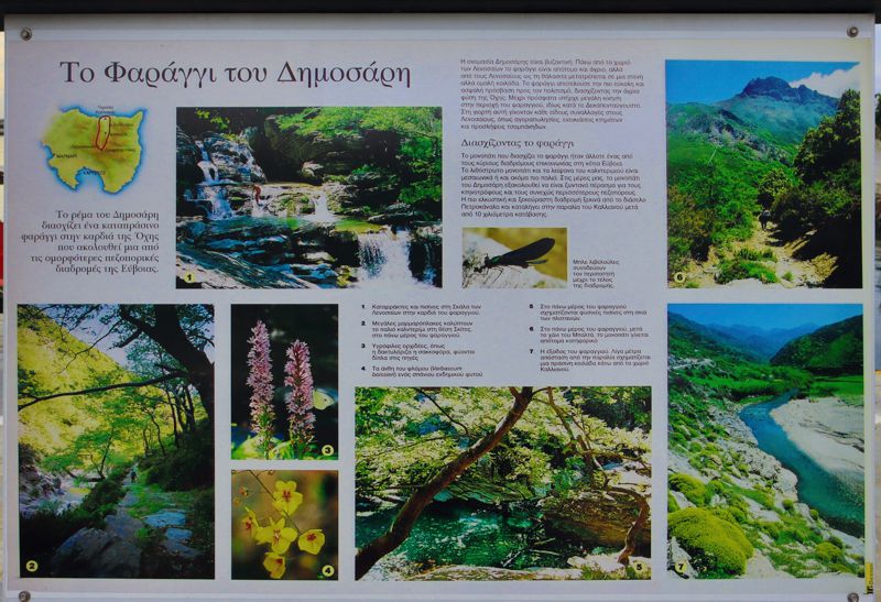 Πεζοπορία στην Όχη: Φαράγγι Δημοσάρη