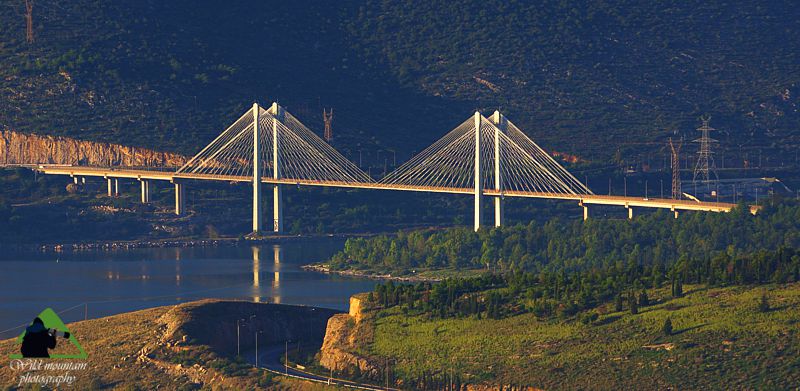 Δίρφυς/Κεντρική Εύβοια topoguide