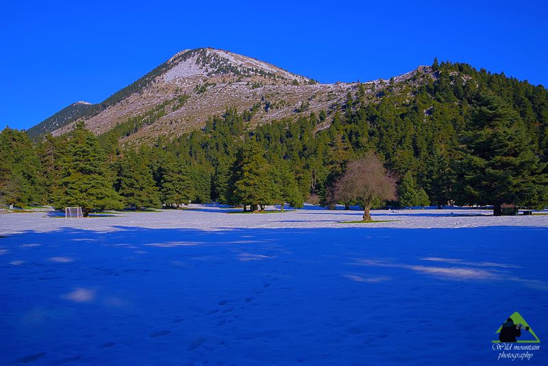 Ελικώνας topoguide