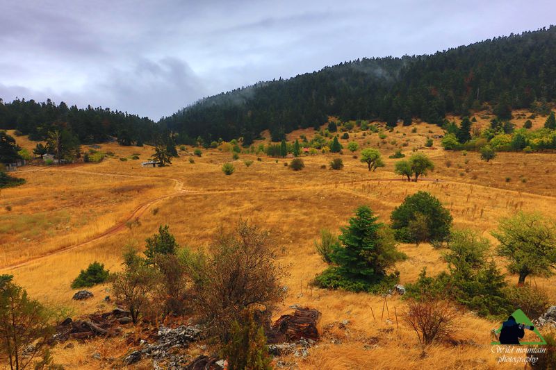 Γκιώνα topoguide