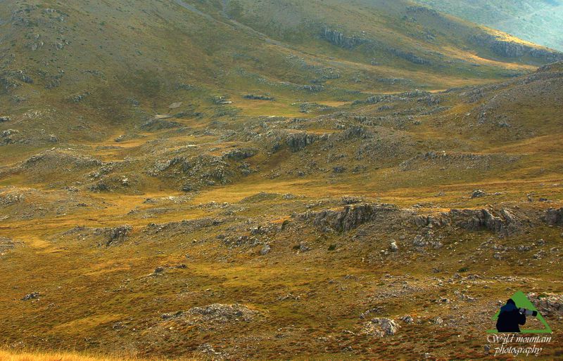 Γκιώνα topoguide