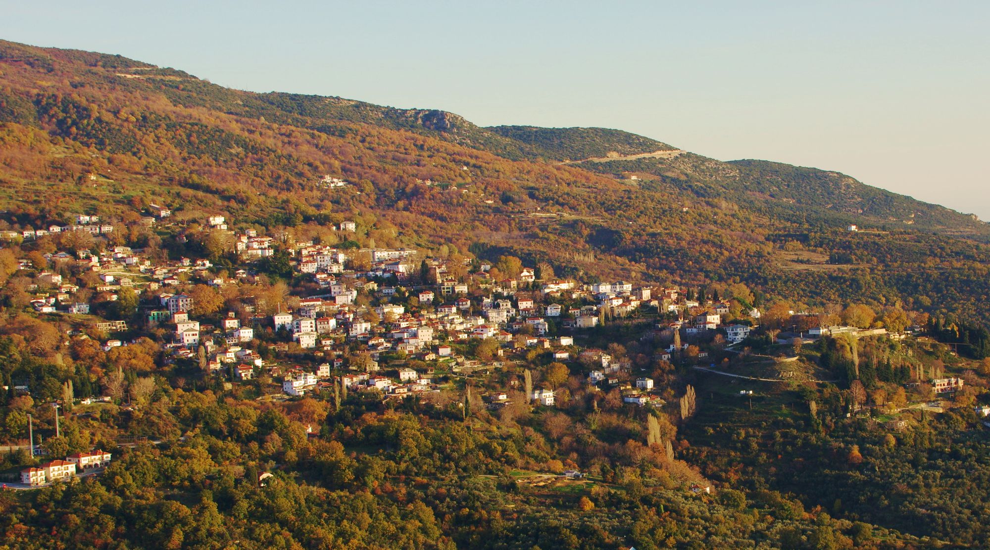 Πορταριά