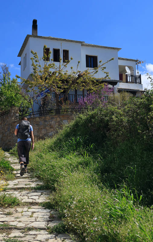 Long Pelion Trail: Ανηφορίζοντας στους Σταγιάτες προς Πορταριά