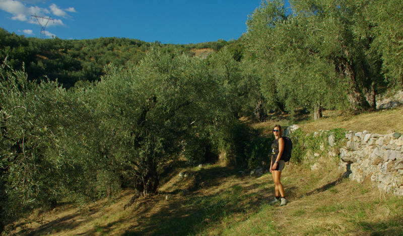 Δυτικό Πήλιο topoguide