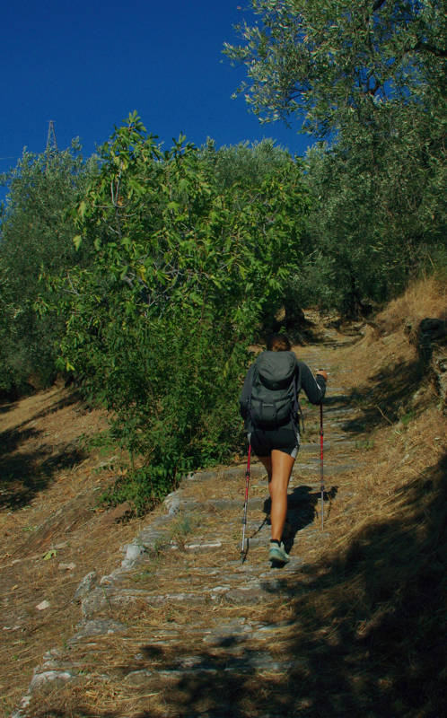 Δυτικό Πήλιο topoguide
