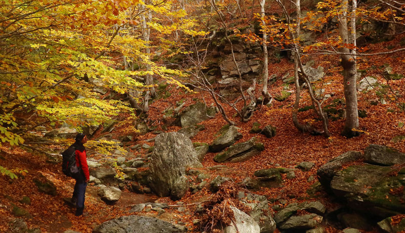 Pelion Routes: Η Διαδρομή των Χωριών