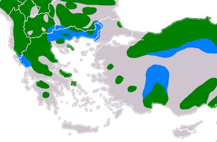 Τα πουλιά της Ελλάδας