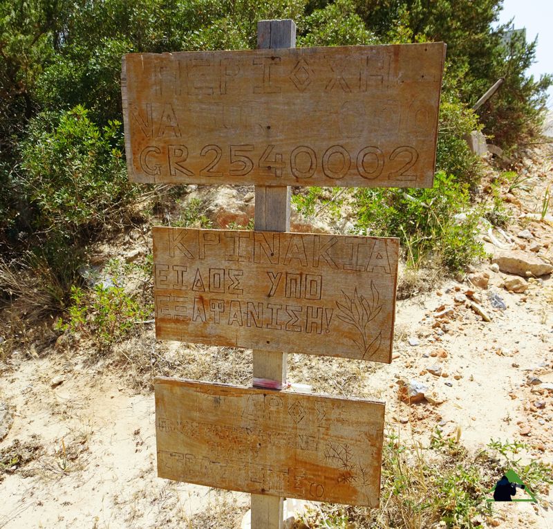 Χλωρίδα της Ελλάδας