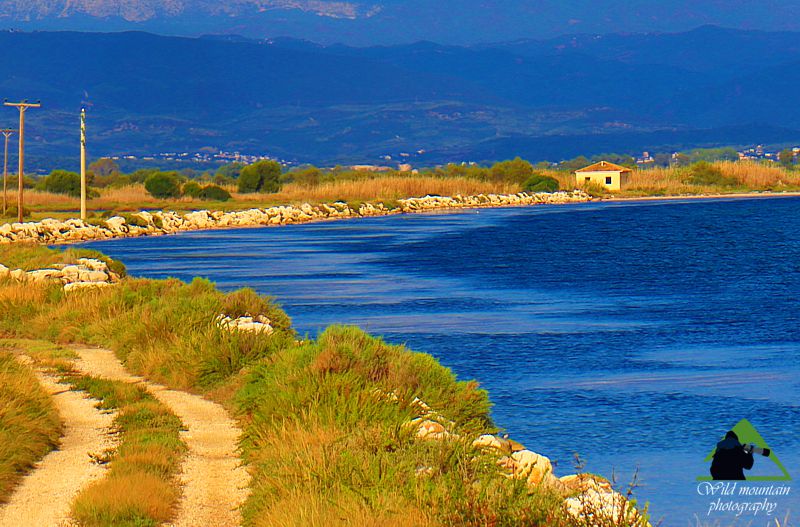 Περιήγηση στο Ε.Π. Υγροτόπων Αμβρακικού