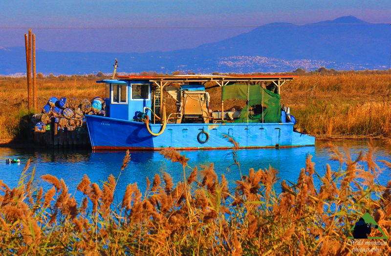 Εθνικό Πάρκο Γαλλικού-Αξιού-Λουδία-Αλιάκμονα
