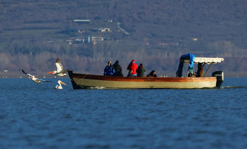 Εθνικό Πάρκο Λίμνης Κερκίνης: Περιήγηση με βάρκα στη λίμνη