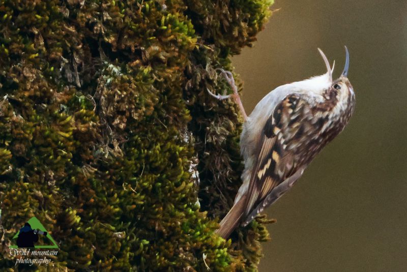 topoguide.momeece