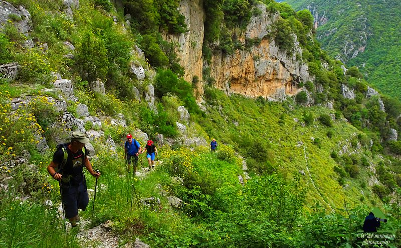 Zagori topoguide