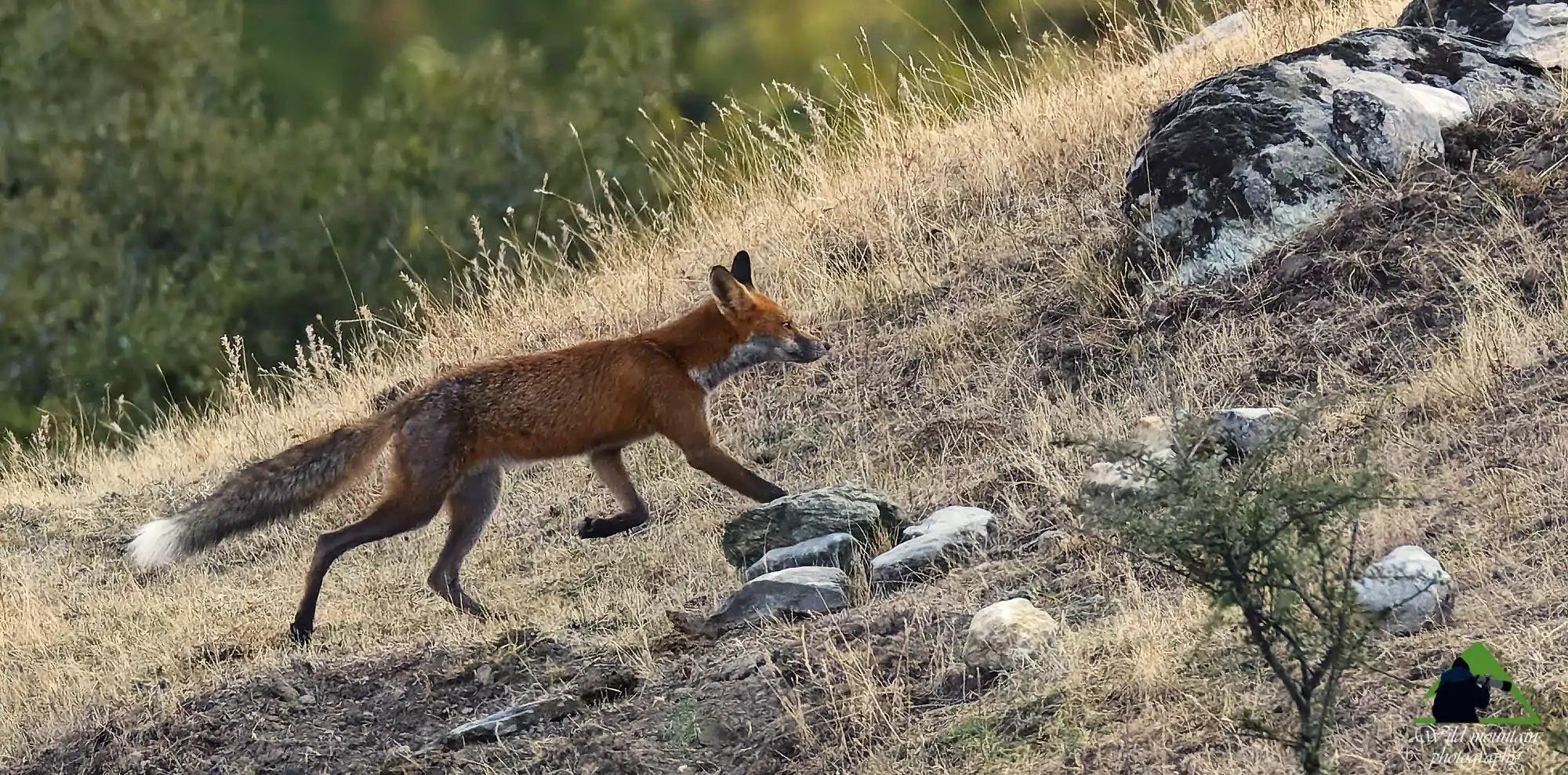 Εθνικός Δρυμός Ολύμπου topoguide