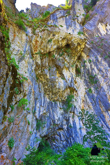 Παρνασσός topoguide