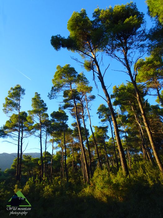 Πάρνηθα topoguide