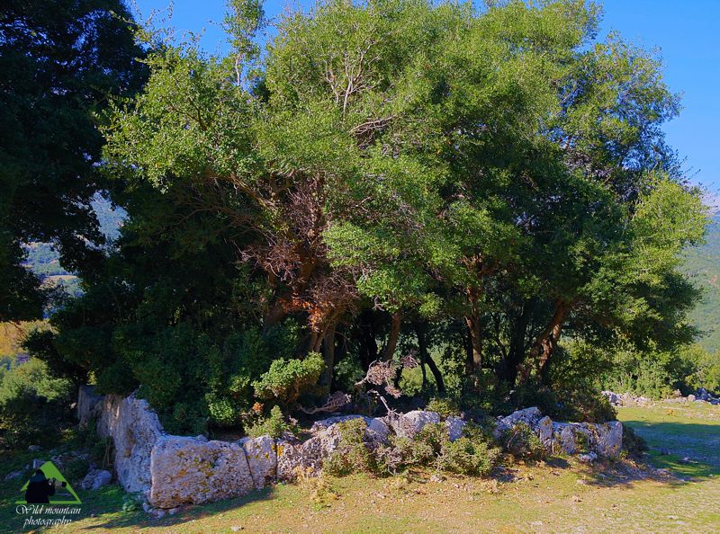 Γκιώνα topoguide