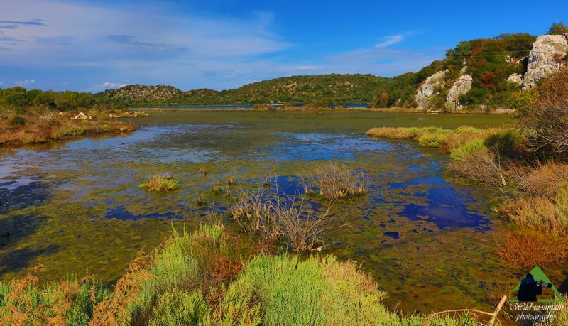 Φωτογραφία φύσης