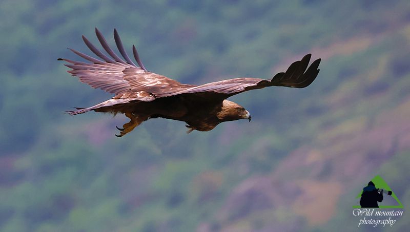 Φωτογραφία φύσης στον Εθνικό Δρυμό Ολύμπου