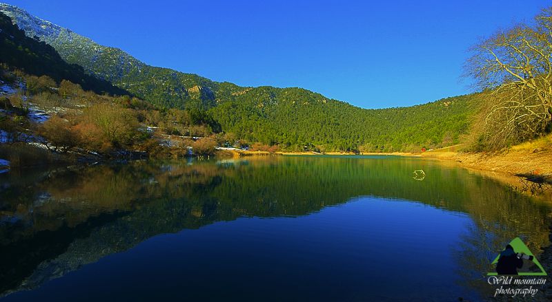 Φωτογραφία φύσης στο Εθνικό Πάρκο Χελμού-Βουραϊκού: Η λίμνη Τσιβλού