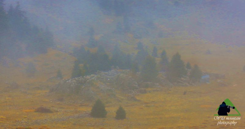 Φωτογραφία φύσης