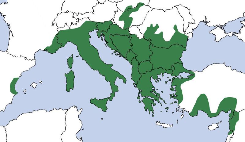 Ε.Π. Ροδόπης topoguide
